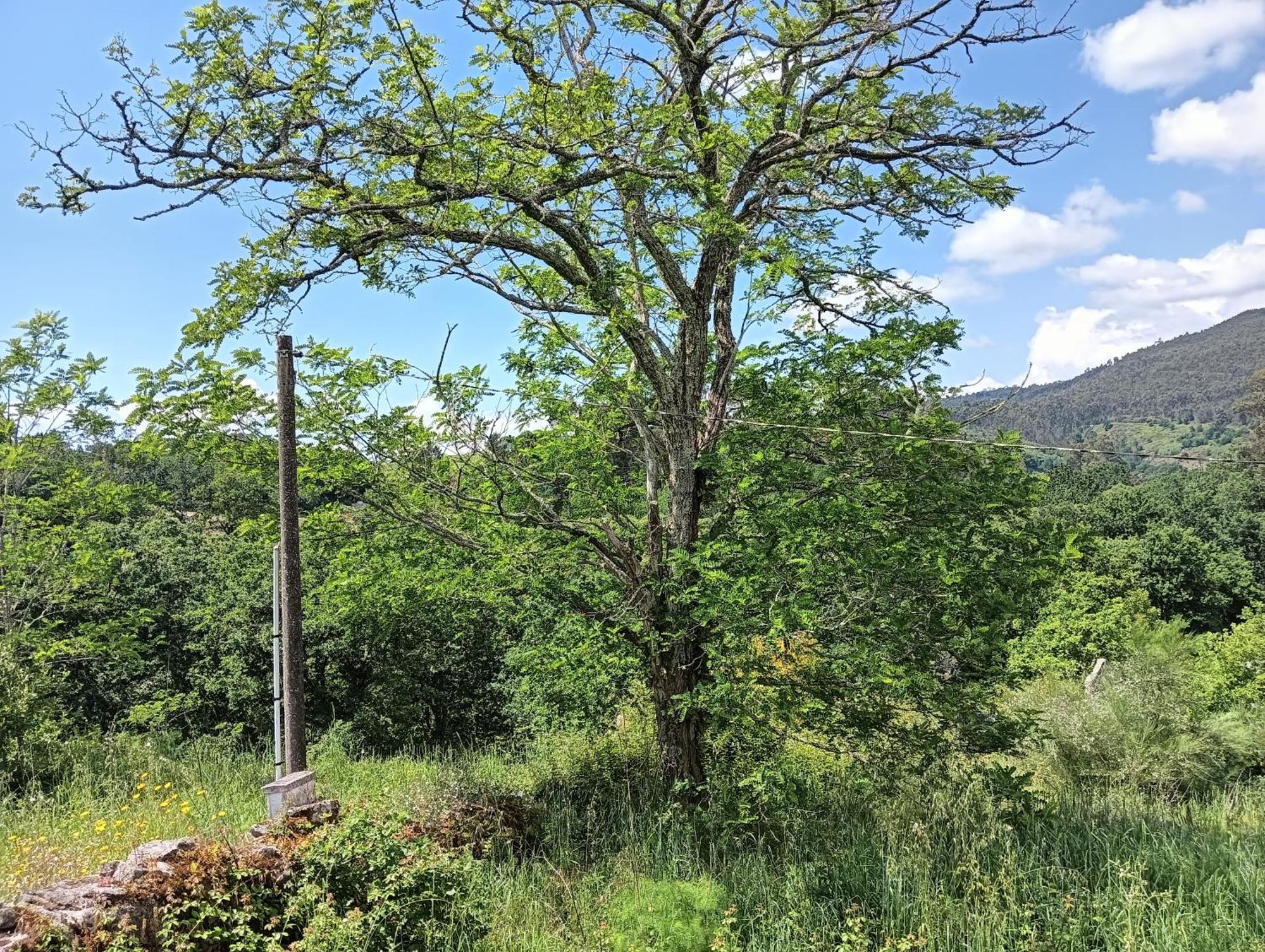 Sotomayor A Parrula, Mar, Rio Y Montanaヴィラ エクステリア 写真