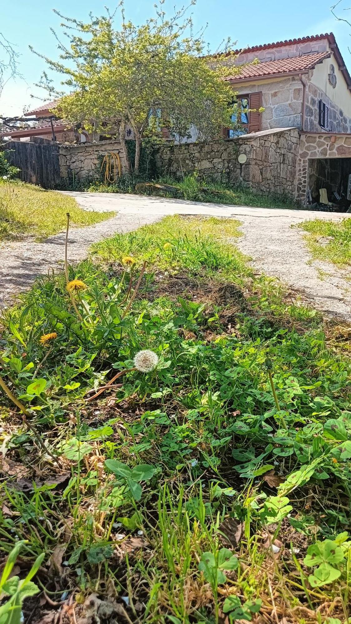 Sotomayor A Parrula, Mar, Rio Y Montanaヴィラ エクステリア 写真
